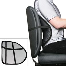 Froobi Daily Deals Posture Perfect Mesh Lumbar Support The Swag The Posture Perfect Mesh Lumbar Support Relieves Back Pain While Sitting And Driving Helps To Put Your Spine In Correct S