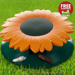 snail3