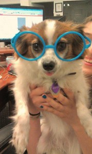 sophieglasses