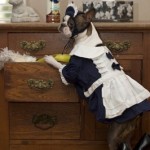 animalcostume_10 animalcostume_10