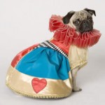 max_400_halloween-dog-costume-queen-of-hearts max_400_halloween-dog-costume-queen-of-hearts