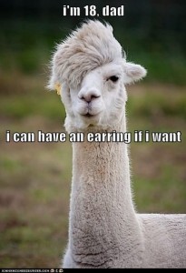 18llama