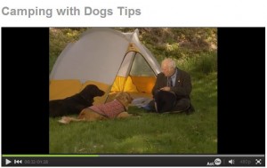 Camping With Dog Tips